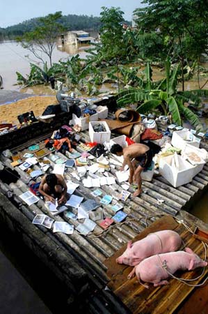 Thanh Hoa province, Vietnam 