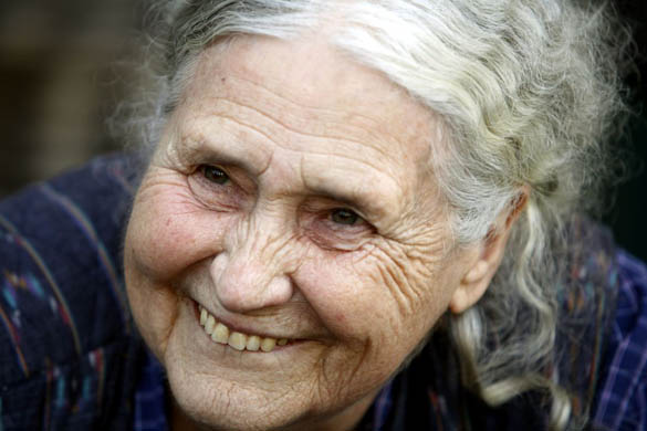 Doris Lessing