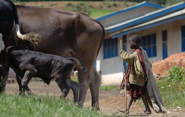 Goma, Democratic Republic of Congo