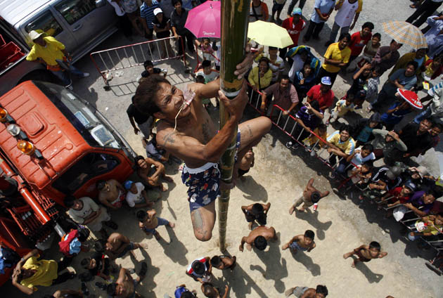 Thailand water buffalo race