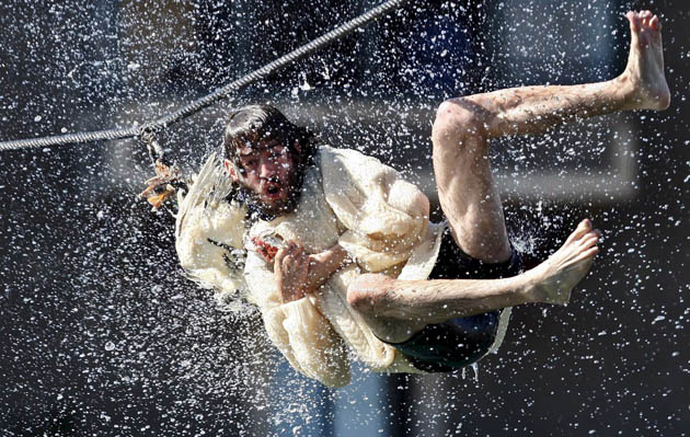 Spain: Day of the Goose