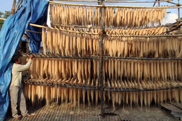 A man supervises the drying of raw vermicilli