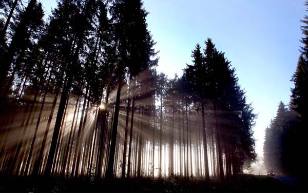 Genachhausen, Germany