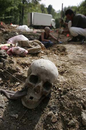 Zeleni Jadar, Bosnia