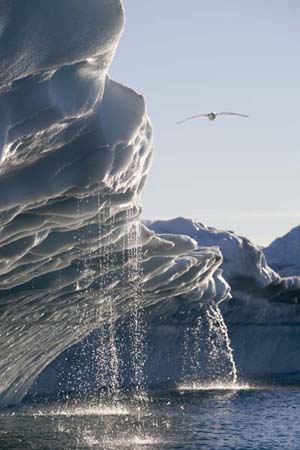 Greenland Ice 