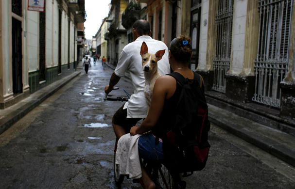 A couple rides a bicycle with a dog in Havana