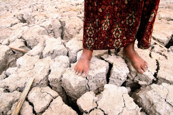 the marshes of southern iraq