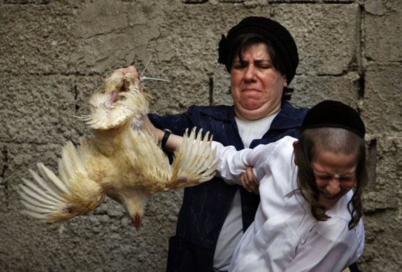 Kaparot ritual in Israel 