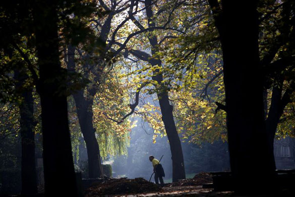 Autumn leaves in a Sofia park 