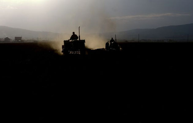 Kosovan farmers at work in their corn fields