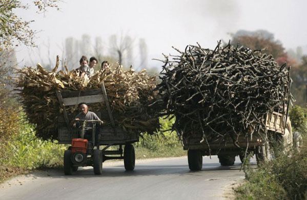 Kosovans  gather wood in preparation for winter