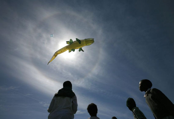 Cape Town International Kite Festival