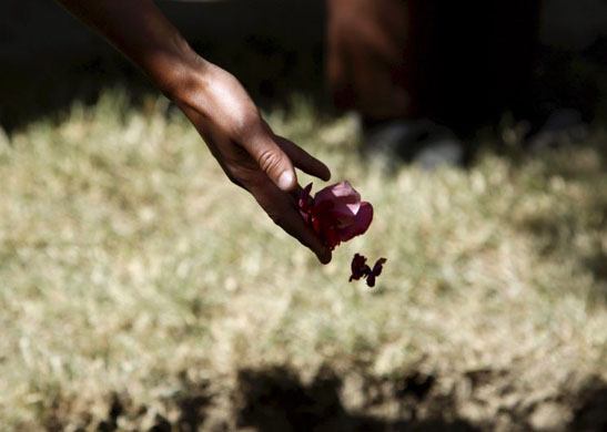 A mourner puts flowers on the grave of Gayle Williams  in Kabul