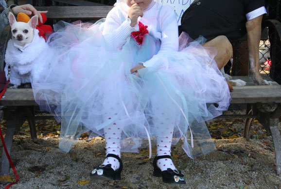 Tompkins Square Halloween Dog Parade