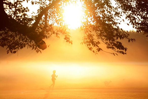 Prospect park autumn