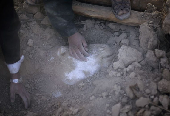 Ziarat, Pakistan: Locals try to rescue a donkey buried during an earthquake 