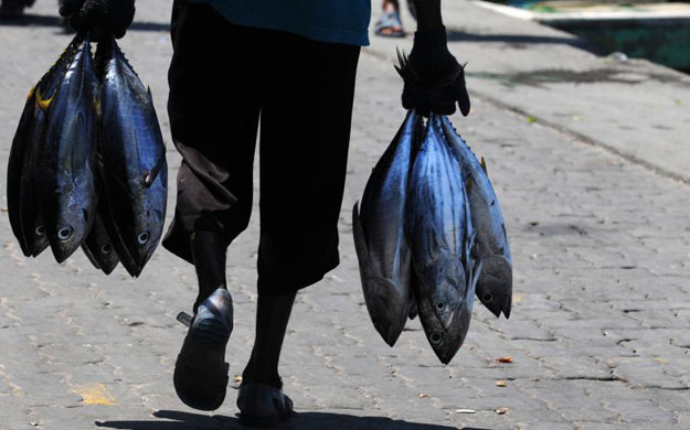A fisherman in Male, Maldives