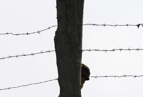 A soldier patrols the North Korean border