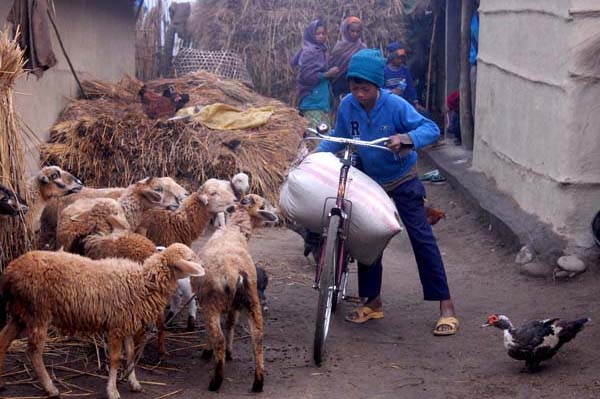 Chitwan district, Nepal