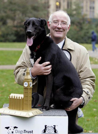 Westminster Dog of The Year Competition