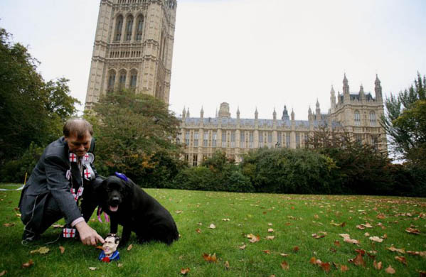 Westminster Dog of The Year Competition