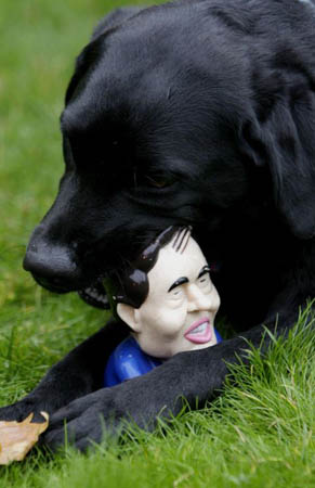 Westminster Dog of The Year Competition