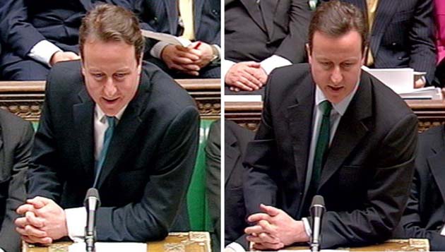 David Cameron's hair