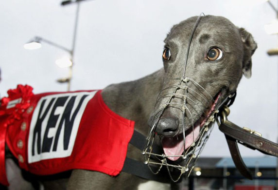 London mayoral elections