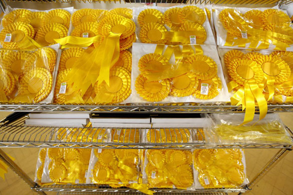 Lib Dem Conference 2008