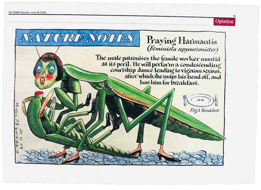 Harriet Harman Pieces of me