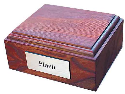 Harriet Harman Pieces of me