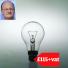 Tory allowances : David Willetts claimed back £115 for changing light bulbs 