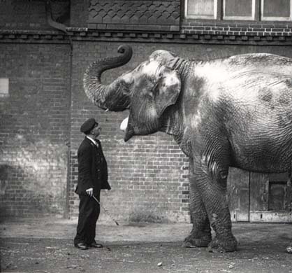 Zoological Society of London