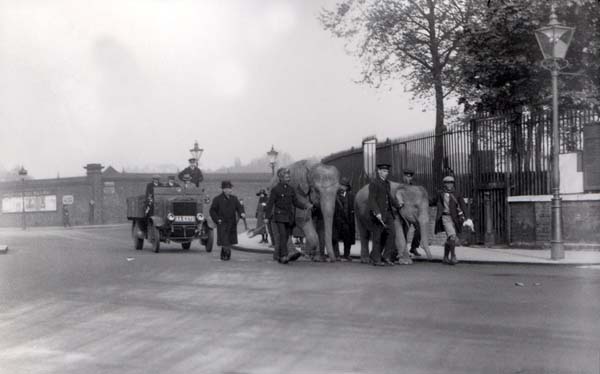 Zoological Society of London
