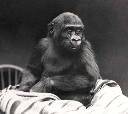 Zoological Society of London