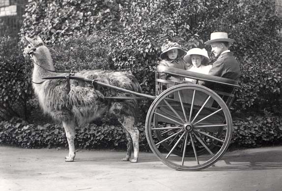 Zoological Society of London