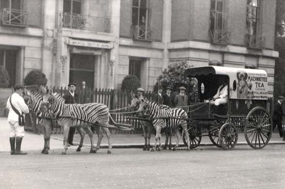 Zoological Society of London