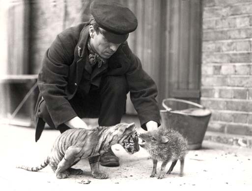 Zoological Society of London