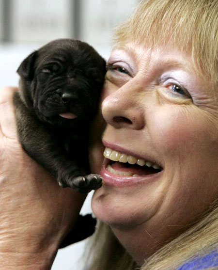 The world's first cloned dogs