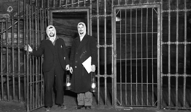 Wellcome exhibition Sleeping & Dreaming