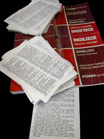 Exploring language and identity