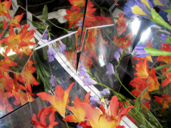 Flowers reflected in mirrors