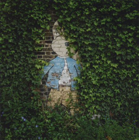 Life in Elephant and Castle