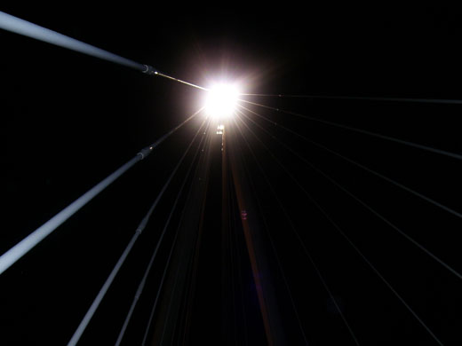 Photographs from kids.org.uk