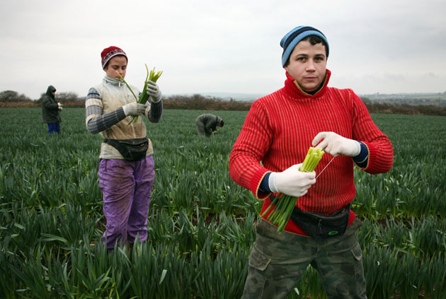 Migrant workers in Cornwall