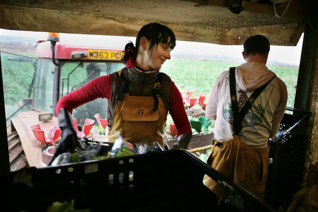 Migrant workers in Cornwall