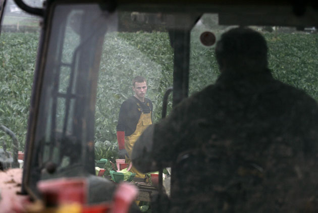 Migrant workers in Cornwall