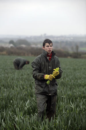 Migrant workers in Cornwall
