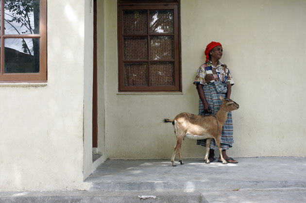Sakyan with goat purchased with grant from Help the Aged