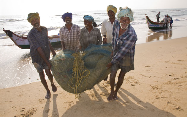 Fishermen with catch in Thalanguga, India